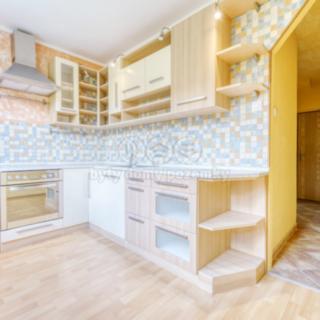 Pronájem bytu 1+1 38 m² Plasy, Potoční
