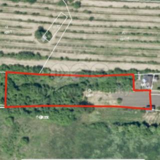 Prodej zahrady 2 311 m² Chožov Třtěno