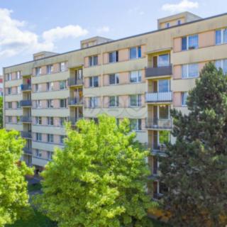 Prodej bytu 4+1 77 m² Stráž pod Ralskem