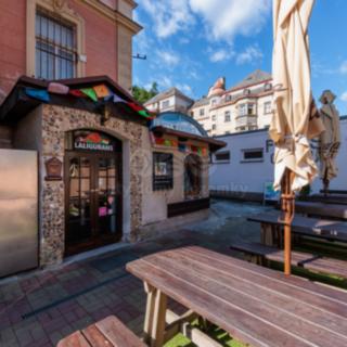 Pronájem restaurace 180 m² Karlovy Vary, Svahová