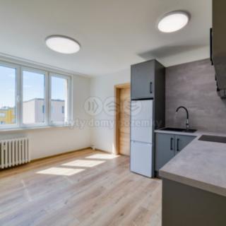 Pronájem bytu 1+1 36 m² Mariánské Lázně