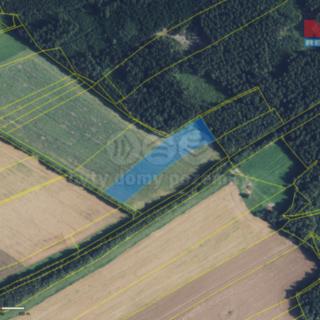 Prodej zemědělské půdy 12 882 m² Janov