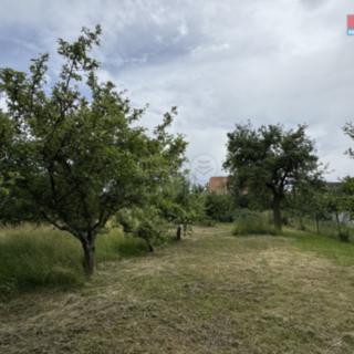 Prodej zahrady 351 m² Podbořany Buškovice