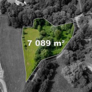 Prodej stavební parcely 7 089 m² Vlčice