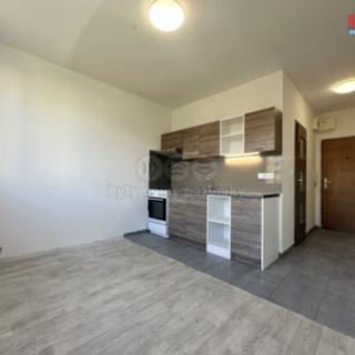 Prodej bytu 1+1 36 m² Chomutov, Písečná