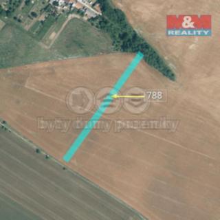 Prodej zemědělské půdy 2 626 m² Kelčany