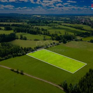 Prodej louky 5 551 m² Nové Mitrovice