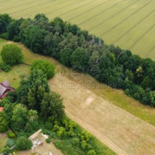 Prodej stavební parcely 4 973 m² Luka