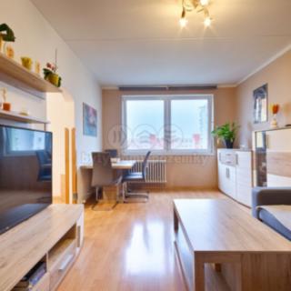 Prodej bytu 3+1 67 m² České Budějovice