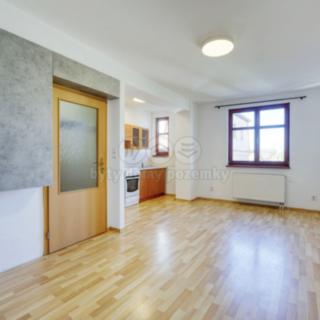 Pronájem bytu 1+kk a garsoniéry 26 m² Město Touškov, U Špejcharu