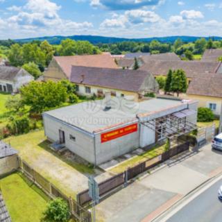 Pronájem obchodu 168 m² Borovy