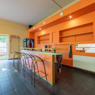 Prodej ostatního komerčního prostoru 464 m² Karlovy Vary Stará Role, Truhlářská