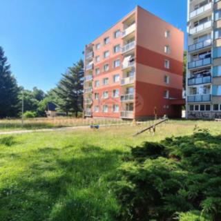 Prodej bytu 1+kk, garsoniery 19 m² Nový Bor