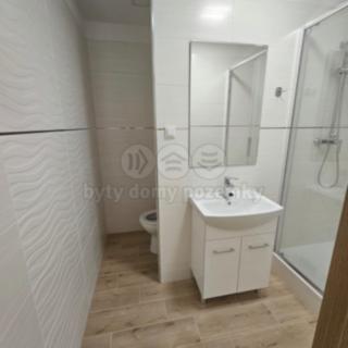 Pronájem bytu 1+1 38 m² Ostrava