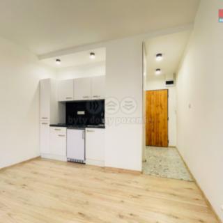 Pronájem bytu 1+kk a garsoniéry 26 m² Ostrava Moravská, U Parku