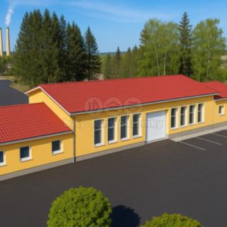 Pronájem obchodu 558 m² Březová