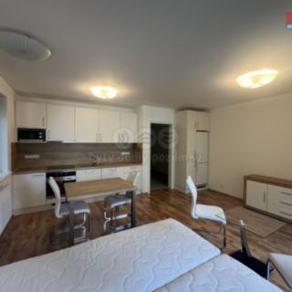 Pronájem bytu 1+kk, garsoniery 46 m² Ostrava