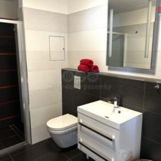 Pronájem bytu 2+kk 50 m² České Budějovice