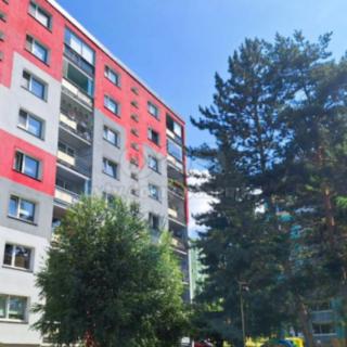 Prodej bytu 1+1 41 m² Česká Lípa, Brněnská
