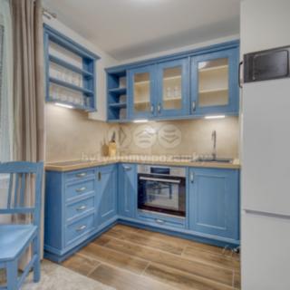 Pronájem bytu 1+kk a garsoniéry 21 m² Plzeň Jižní Předměstí, Čechova