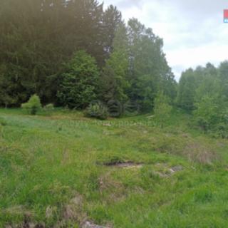 Prodej louky 7 967 m² Kořenov Rejdice