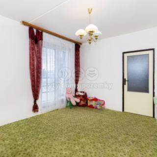 Prodej bytu 3+1 54 m² Seč