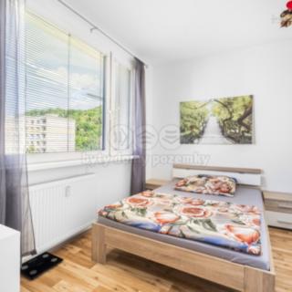 Prodej bytu 3+1 65 m² Ústí nad Labem Mojžíř, Peškova