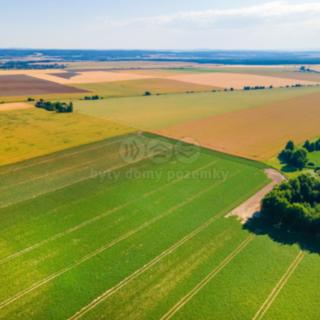 Prodej louky 31349 m² Kotovice