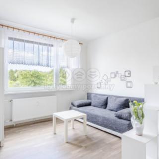 Pronájem bytu 1+kk a garsoniéry 20 m² Cvikov II, Sídliště