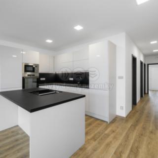 Pronájem bytu 3+kk 98 m² Kyšice