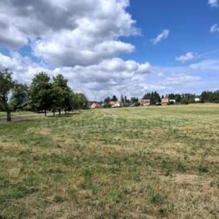 Prodej louky 10905 m² Hradištko
