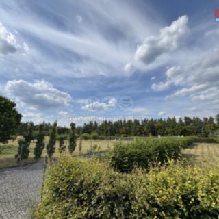 Prodej louky 1093 m² Hradištko
