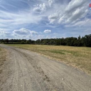 Prodej zemědělské půdy 4947 m² Hradištko