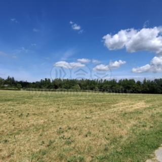 Prodej louky 1808 m² Hradištko