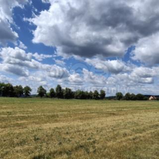 Prodej louky 2035 m² Hradištko