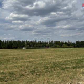 Prodej louky 1831 m² Hradištko