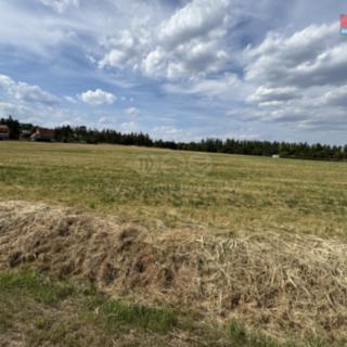 Prodej louky 1972 m² Hradištko