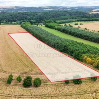 Prodej zemědělské půdy 11 929 m² Chrást