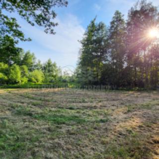 Prodej stavební parcely 2000 m² Ludgeřovice