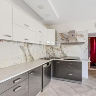 Prodej rodinného domu 360 m² Ústí nad Labem Bukov, Štursova