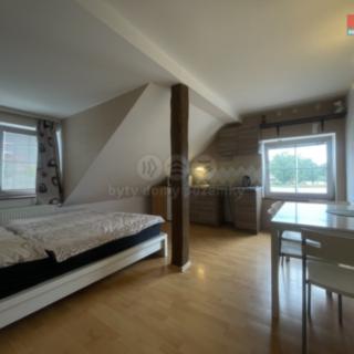 Pronájem bytu 2+kk 45 m² České Budějovice