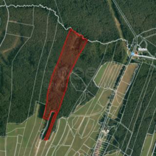 Prodej lesa 22 334 m² Suchdol nad Lužnicí Klikov