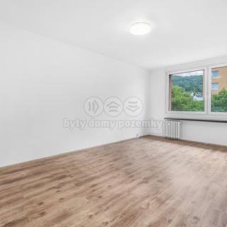 Prodej bytu 3+1 81 m² Ústí nad Labem Střekov, Nová