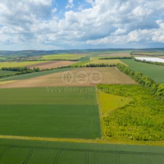 Prodej zemědělské půdy 37 901 m² Šumice