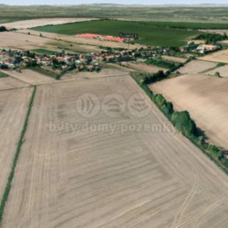 Prodej zemědělské půdy 6 332 m² Šumice