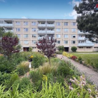 Prodej bytu 1+1 33 m² Hradec Králové Moravské Předměstí, Sezemická