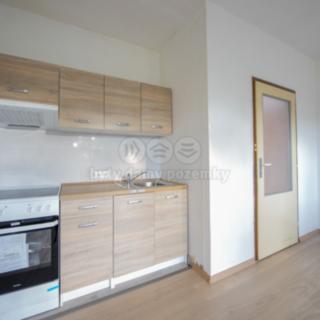 Prodej bytu 2+1 43 m² Děčín V-Rozbělesy, Závodní