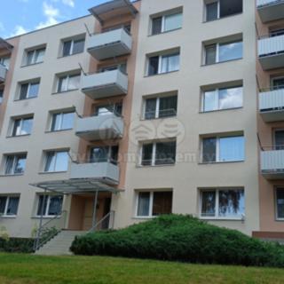 Pronájem bytu 1+1 36 m² Písek Budějovické Předměstí, třída Přátelství