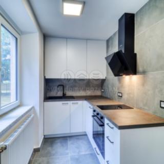 Pronájem bytu 2+kk 28 m² Plzeň Východní Předměstí, Rychtaříkova