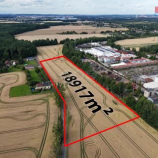 Prodej zemědělské půdy 18 917 m² Paskov Oprechtice